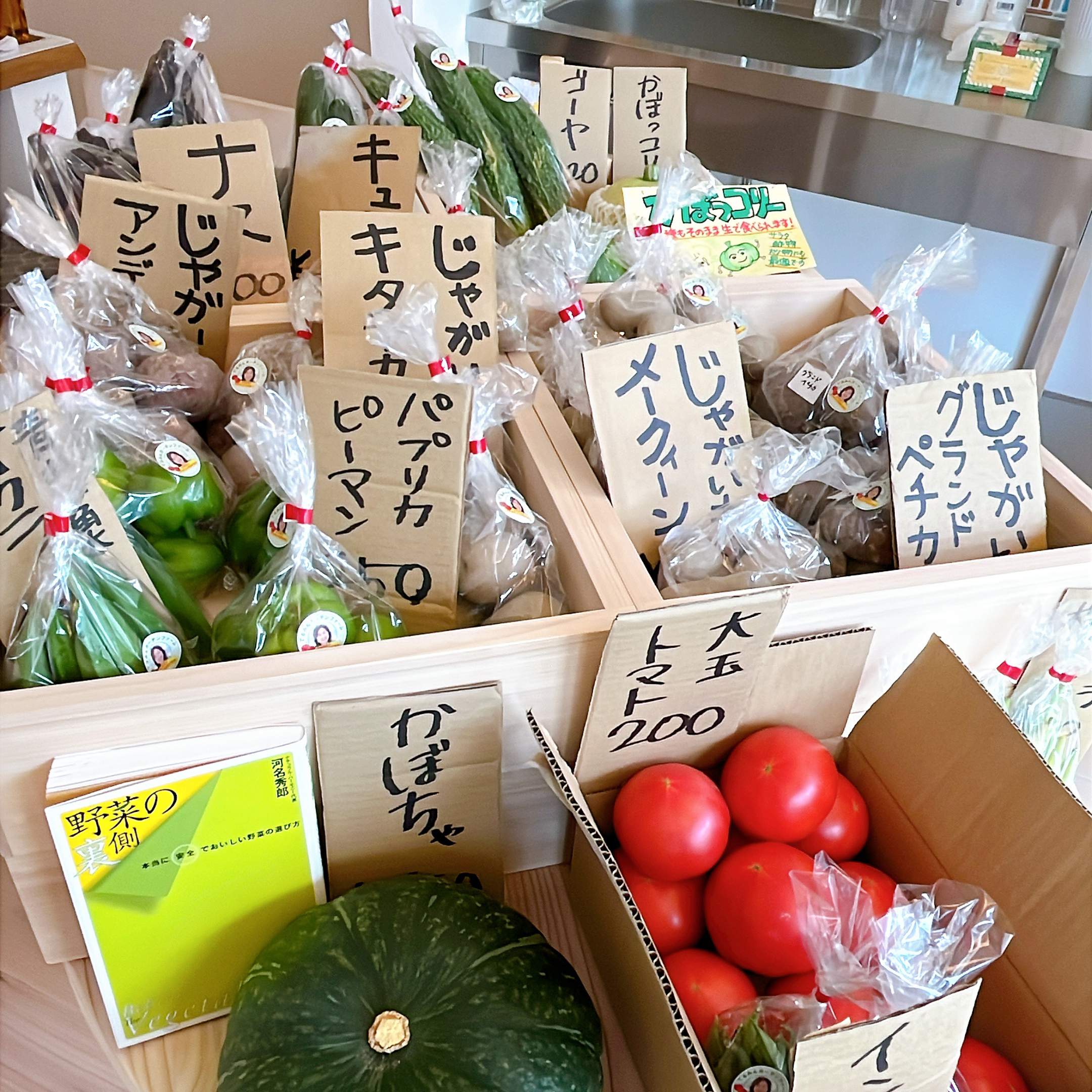 7月10日(木)お野菜入荷しました！